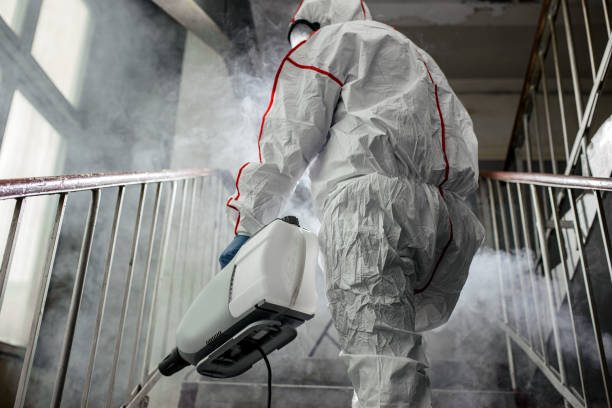 Why You Should Choose Our Mold Remediation Services in North Pole, AK